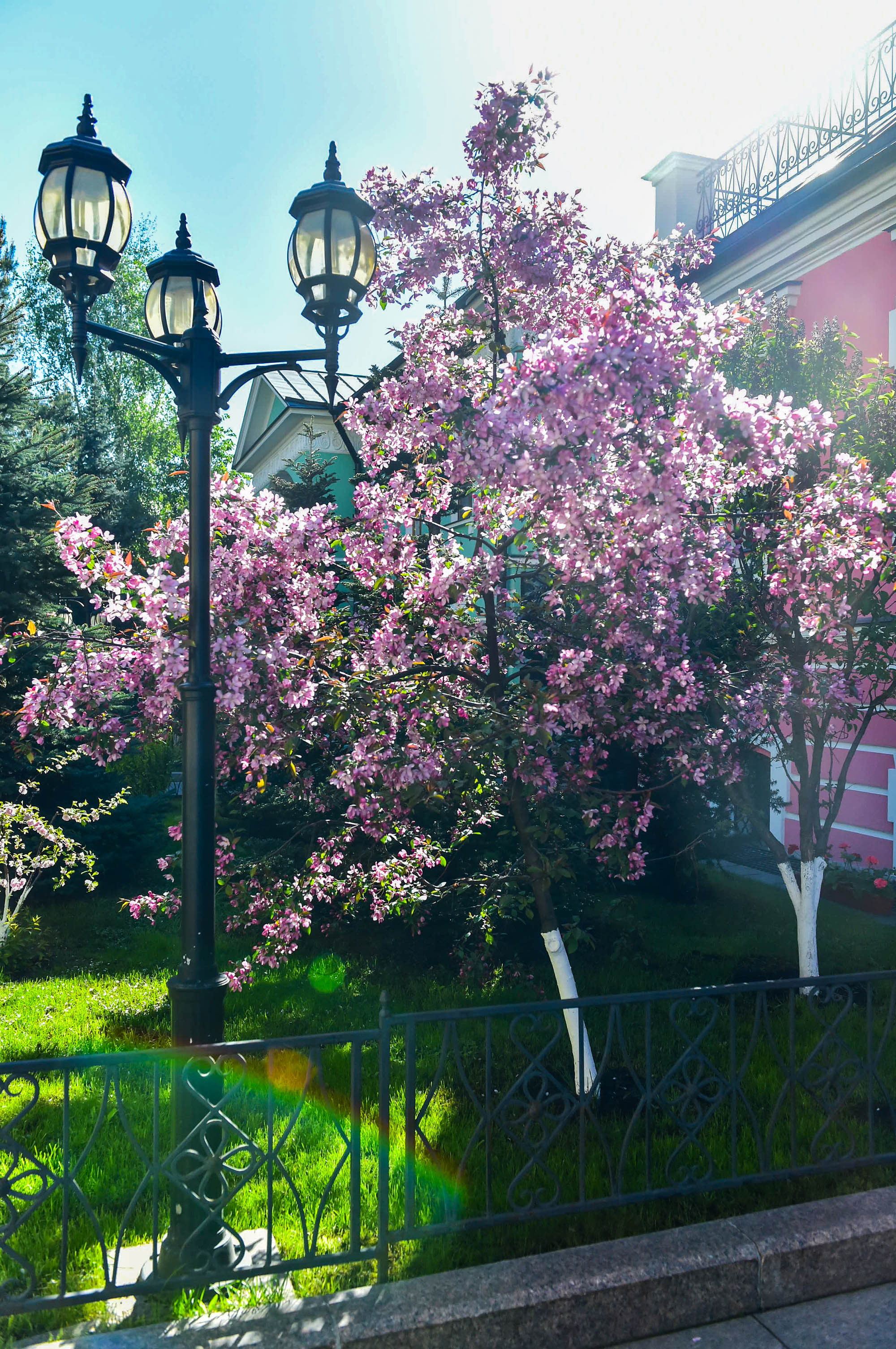 Весеннее цветение в Покровском монастыре